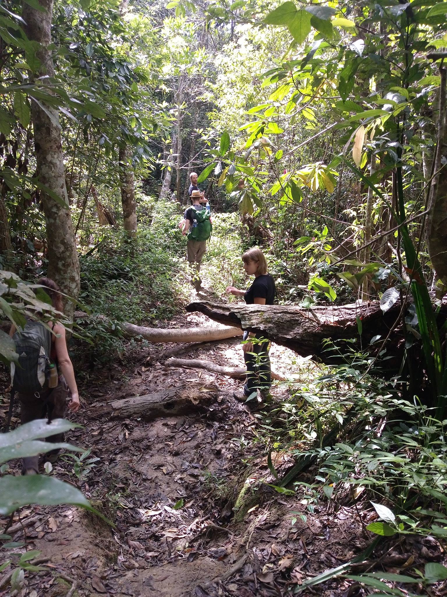 Hike through Dalat’s Jungle