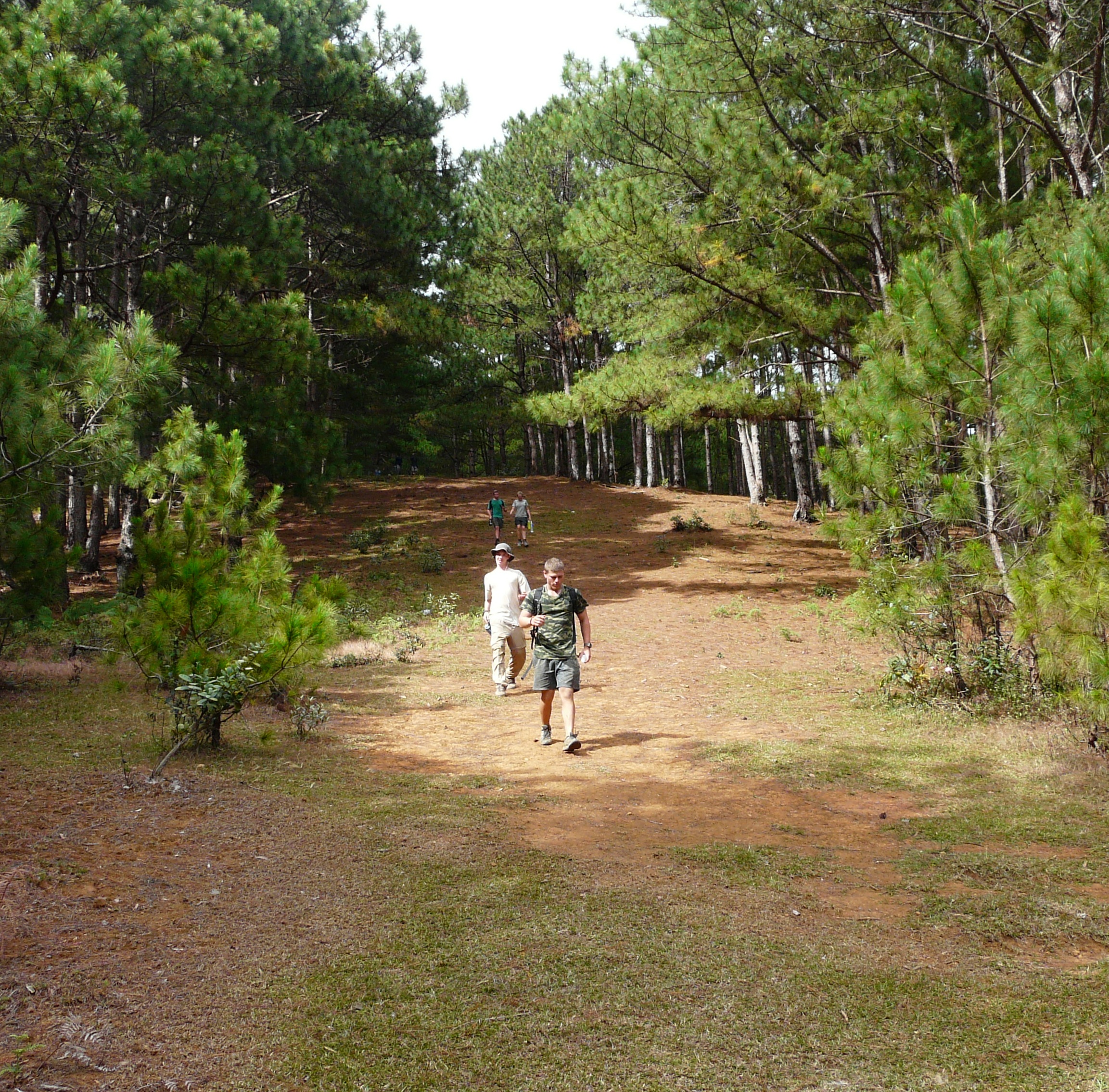 Langbiang Mountain Hiking